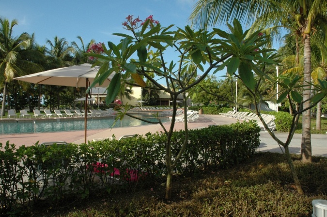   Sheraton Grand Bahama Island Our Lucaya Resort 5*   -