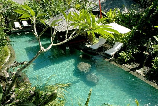   Jamahal Private Resort & Spa 5*    