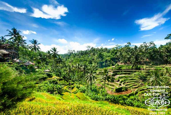   Le Meridien Bali Jimbaran 5* 