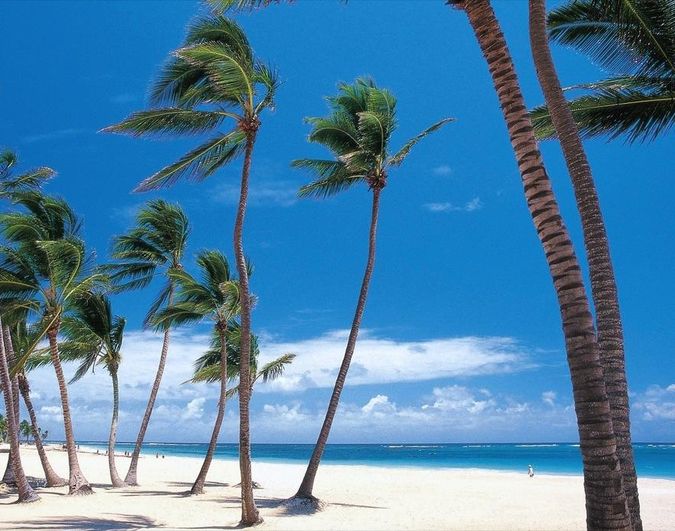 Vik Hotel Arena Blanca Cayena Beach The Best Beaches In World Vik Arena Blanca Cayena Beach The Best Beaches In World