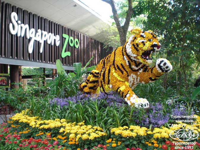 Зоопарк Сингапура (Singapore Zoo)